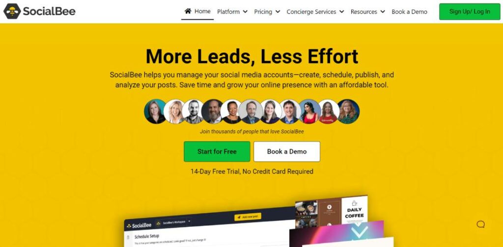 SocialBee